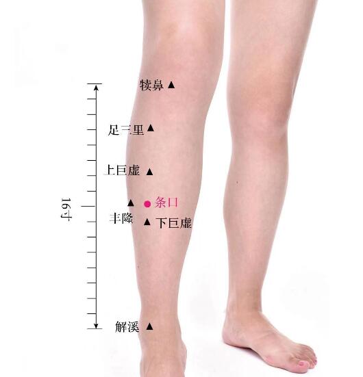 条口的准确位置图及功效视频