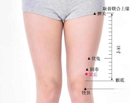 梁丘的准确位置图及功效视频