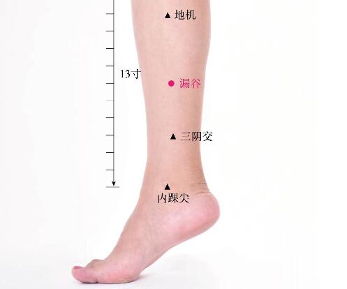 漏谷的准确位置图及功效视频位位置图