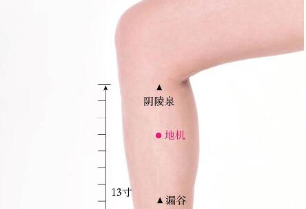 地机的准确位置图及功效视频