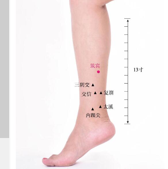 筑宾的准确位置图及功效视频位位置图