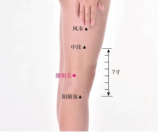 膝阳关的准确位置图及功效视频