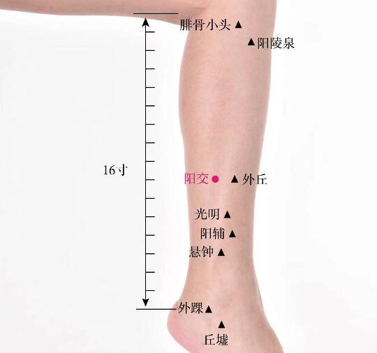 阳交的准确位置图及功效视频