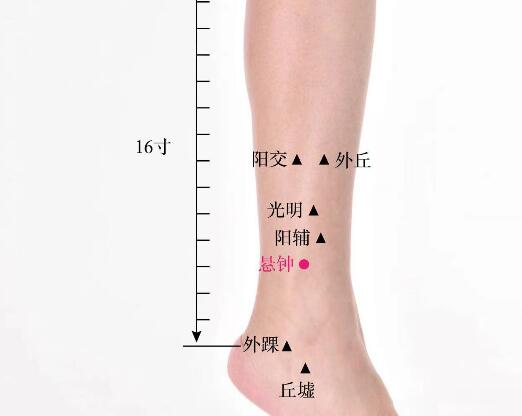 悬钟的准确位置图及功效视频位位置图