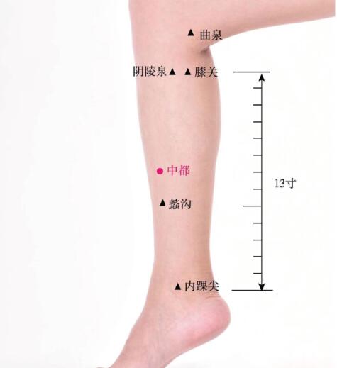 中都的准确位置图及功效视频位位置图