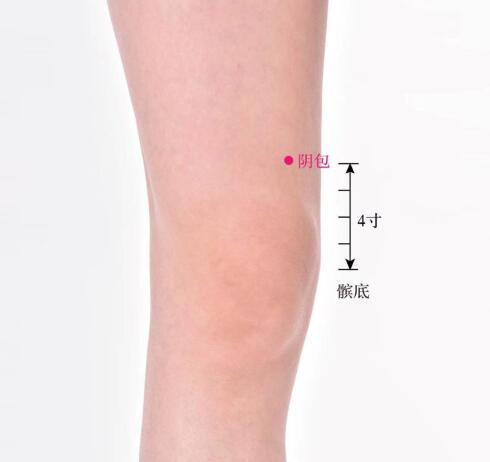 阴包的准确位置图及功效视频