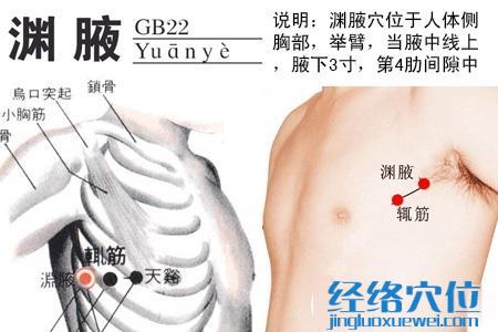 渊腋穴位图