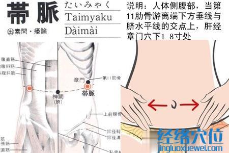带脉穴的位置图