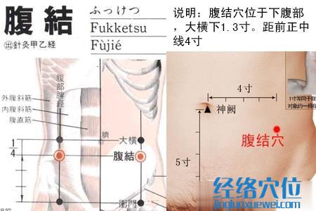 腹结穴位位置图