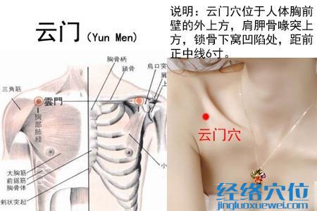 云门穴位位置图
