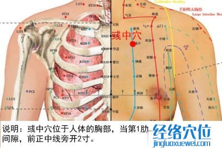 彧中穴位位置图