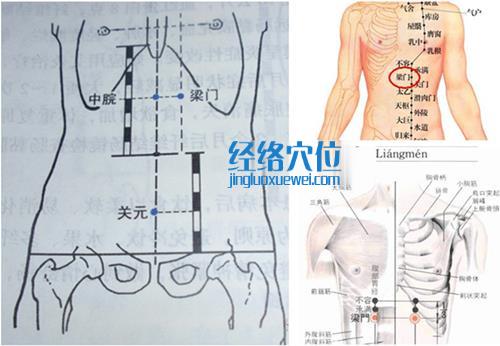 梁门穴位位置图（高清图组）