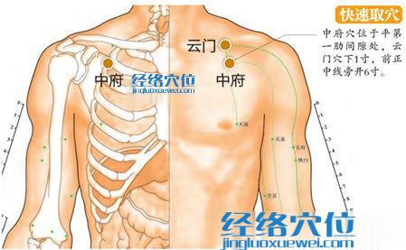 中府穴位位置图