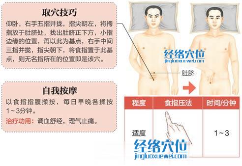 气冲穴的准确位置图