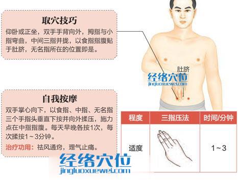 高清图解天枢穴