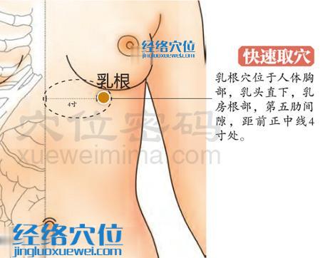 高清图解乳根穴的位置