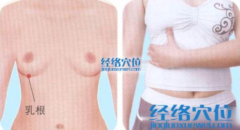 高清图解乳根穴的位置
