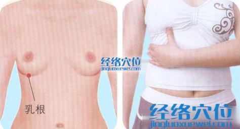 高清图解乳根穴的位置