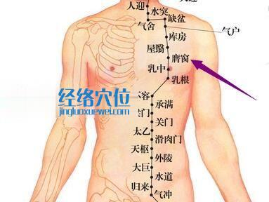 足阳明胃经膺窗穴