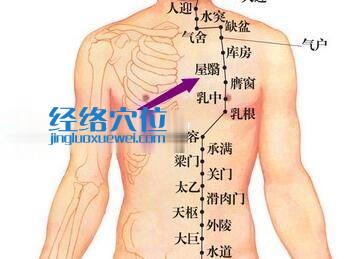 胃经屋翳穴位图