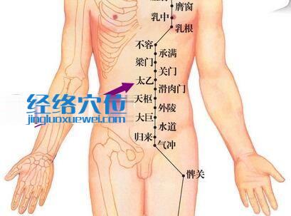 足阳明胃经太乙穴