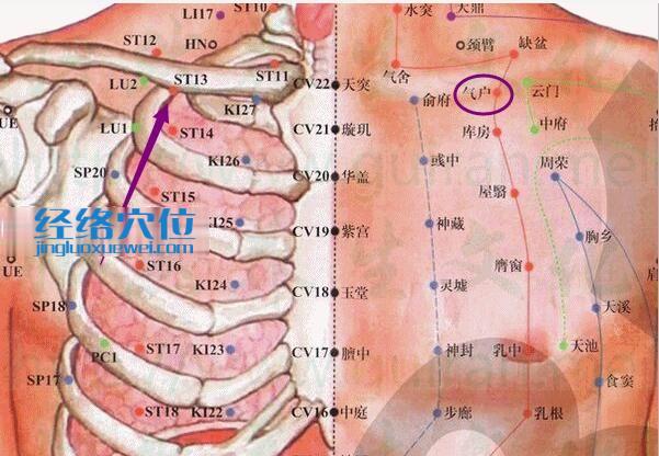 气舍穴的位置解剖分析图