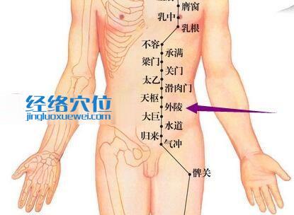 足阳明胃经外陵穴