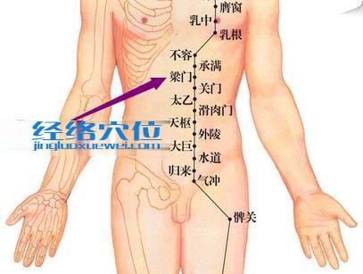 足阳明胃经梁门穴