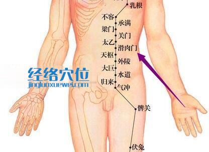 滑肉门穴位图