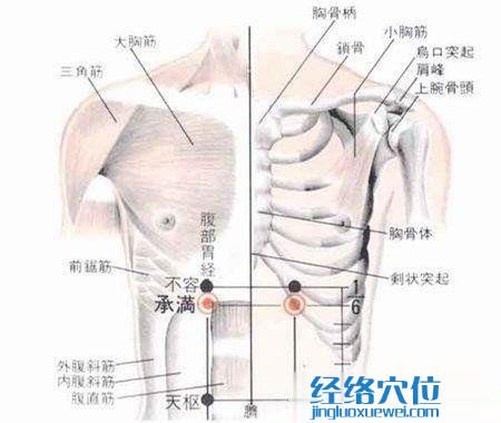 承满穴的位置解剖分析图