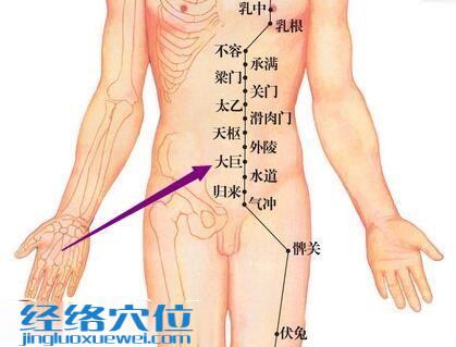 大巨穴位图