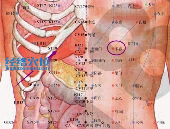 不容穴的准确位置图