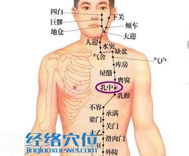 乳中穴位位置图