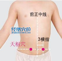 天枢穴位位置图