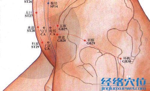 五枢穴的准确位置图