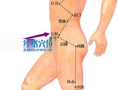 五枢穴位位置图