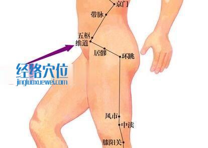 维道穴的位置图