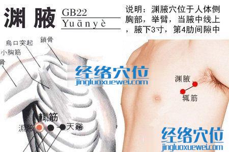 渊腋穴的位置解剖分析图