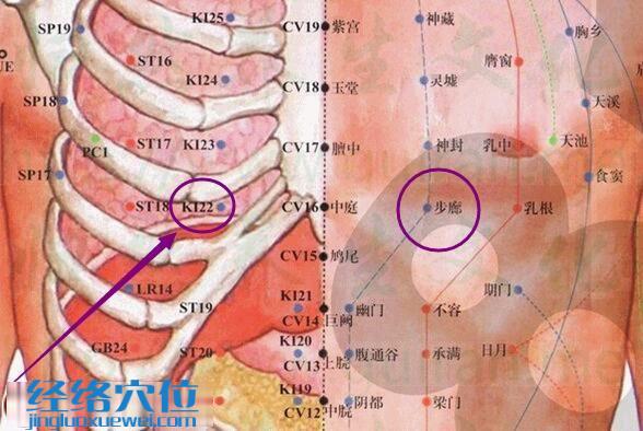 步廊穴的准确位置图