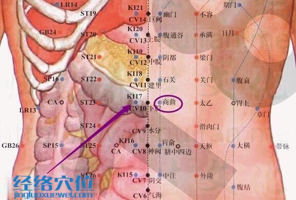 商曲穴的准确位置图