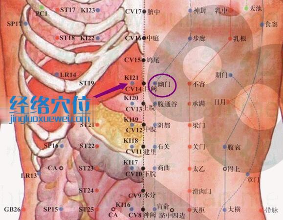 幽门穴的准确位置图