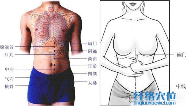 幽门穴的位置图