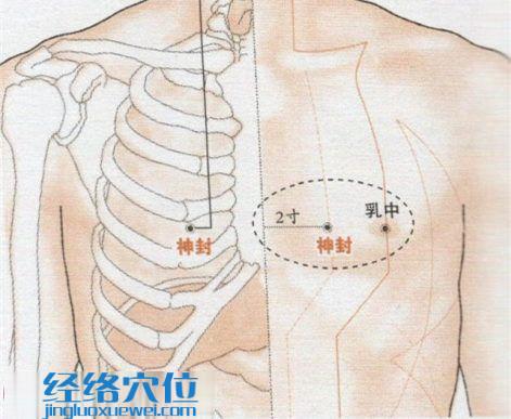 神封穴位位置图