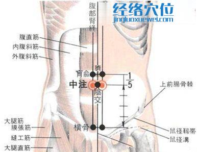 中注穴的位置解剖分析图