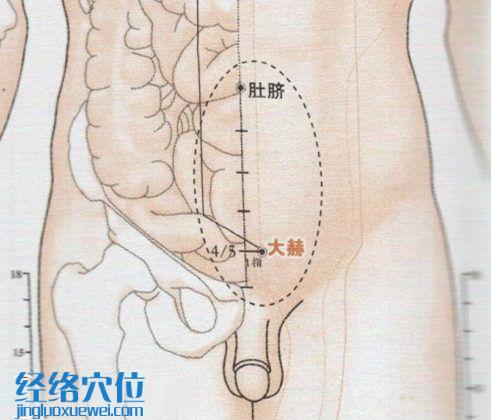 大赫穴的准确位置图