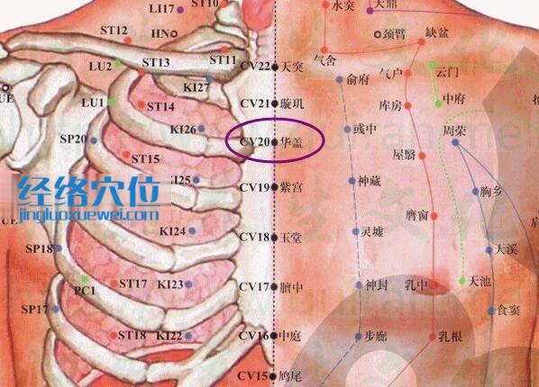 华盖穴的准确位置图