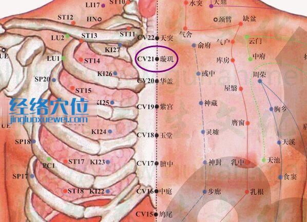 璇玑穴的准确位置图