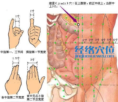 建里穴位位置图