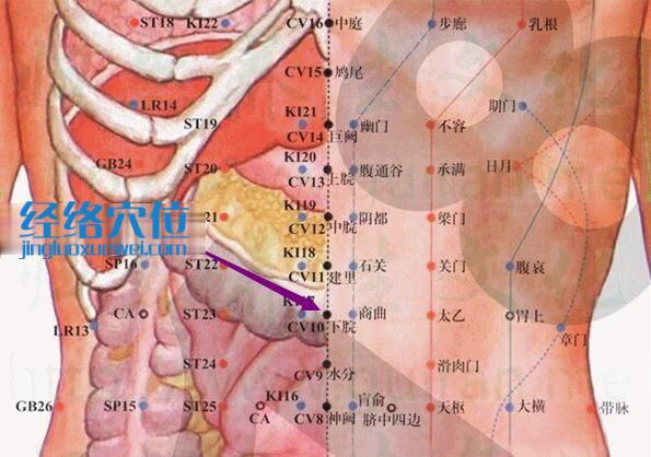 下脘穴的准确位置图