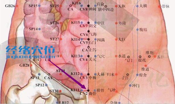 曲骨穴的准确位置图